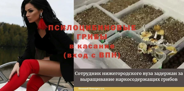 дурь Заволжье
