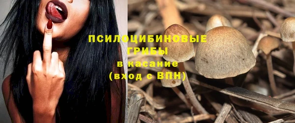 дурь Заволжье