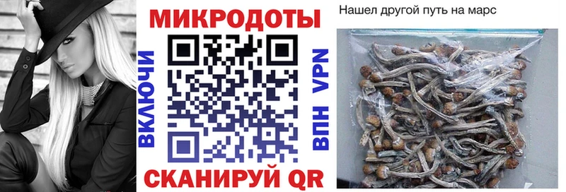 купить  сайты  Кувшиново  Псилоцибиновые грибы мухоморы 